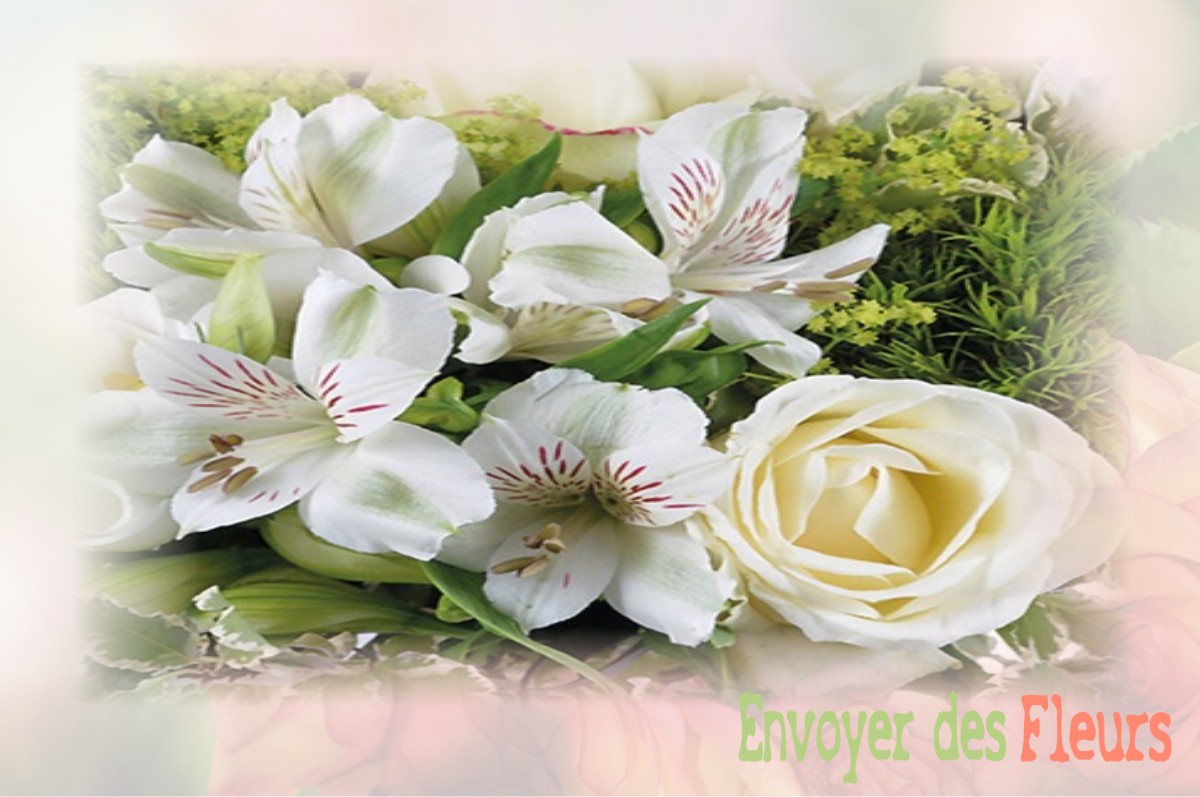 envoyer des fleurs à à ROUVROY-LES-MERLES